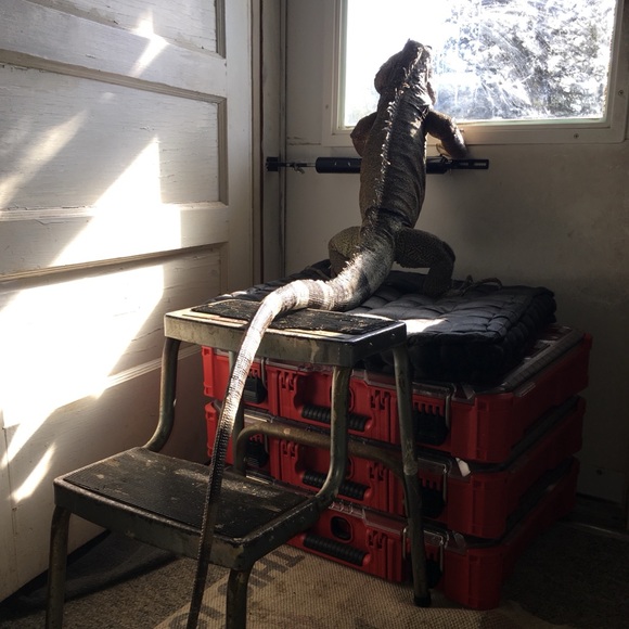 MY MANTRID - Picture 2 of 16